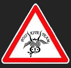 logo pois'kite
